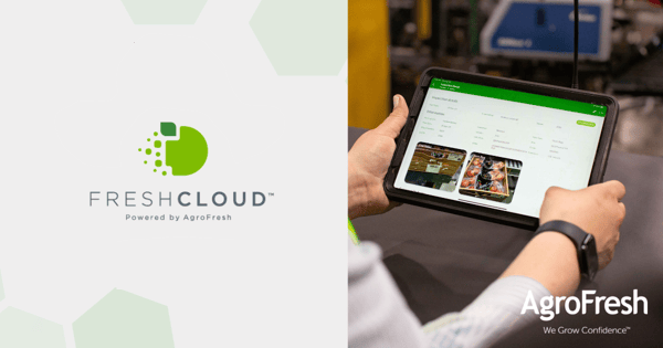 Freshcoud general tablet